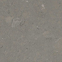 /img/quartz/Fossil Gray.jpg